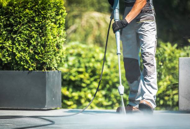 Best Sign and Awning Cleaning  in Century, FL