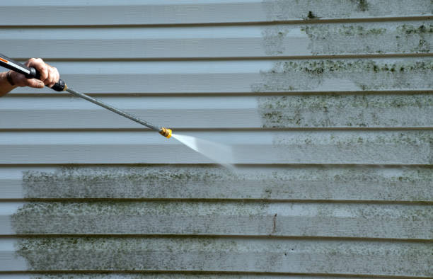 Solar Panel Cleaning in Century, FL